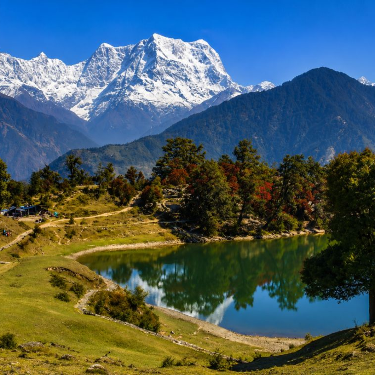 Chopta meadows, known as Mini Switzerland of India