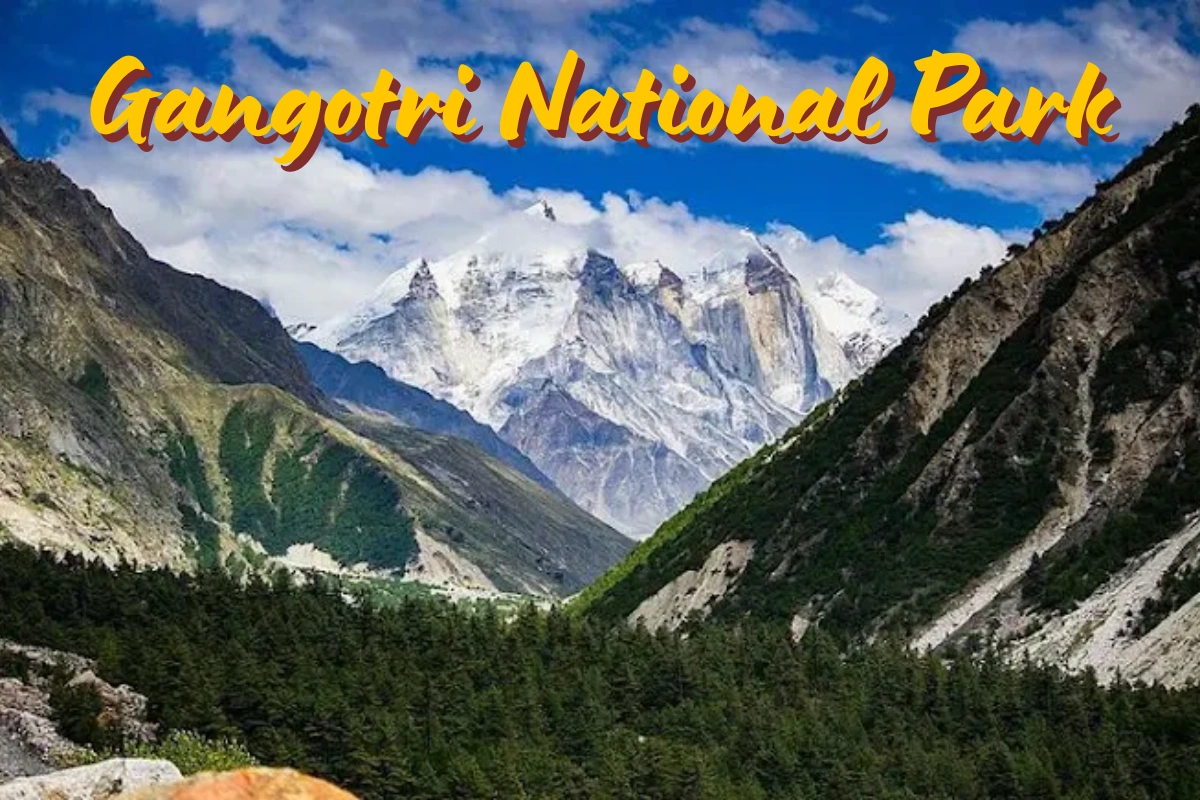 Gaumukh glacier and Bhagirathi peaks in Gangotri National Park