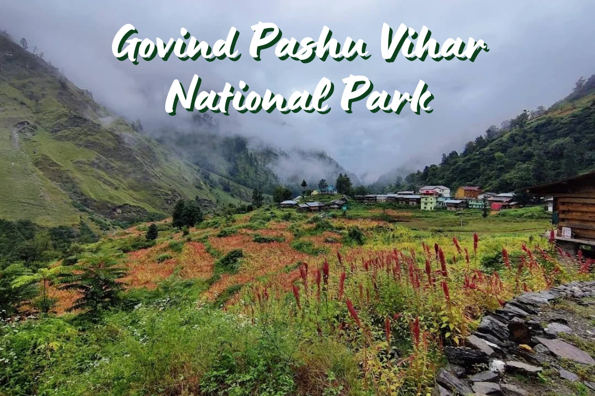 Mountain valley near Sankri in Govind National Park