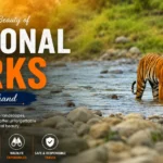 National Parks in Uttarakhand