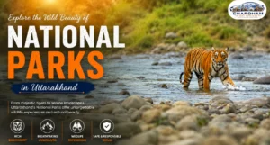 National Parks in Uttarakhand