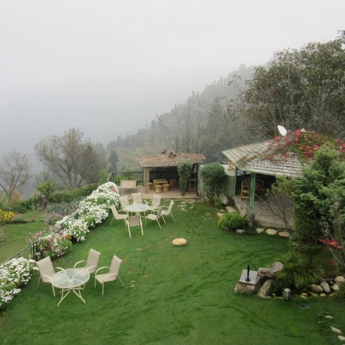 Kanatal's pine forest and camping grounds